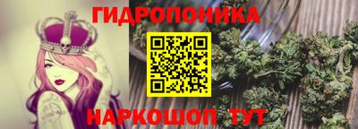 мяу мяу мука Комсомольск-на-Амуре
