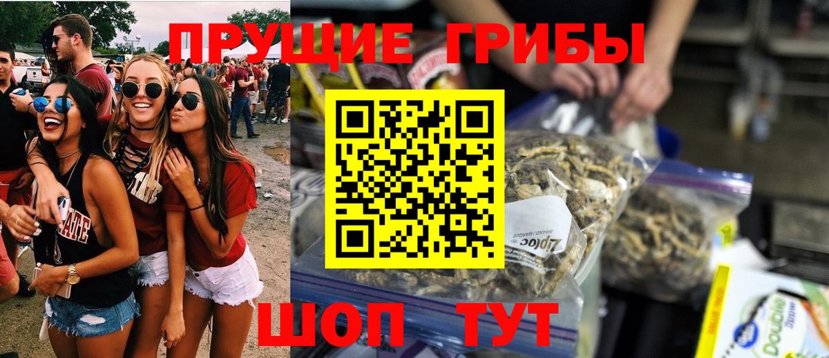 Екатеринбург  Псилоцибиновые грибы Psilocybine cubensis  Вход с VPN 