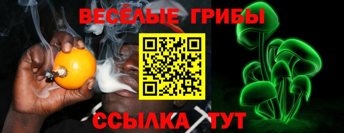 Галлюциногенные грибы GOLDEN TEACHER Екатеринбург